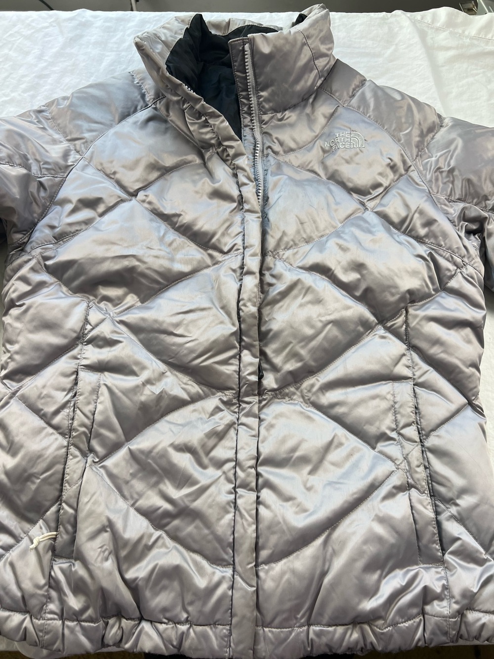 North face 550 puffer down jacket silver MED gorpcore
